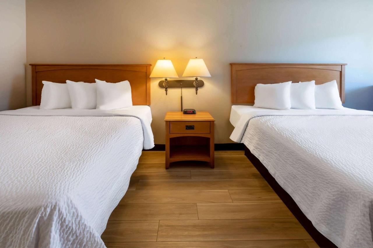 Days Inn By Wyndham Birch Run Kültér fotó